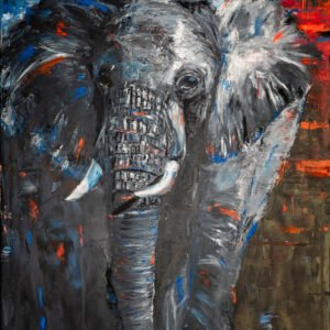 elefant 1